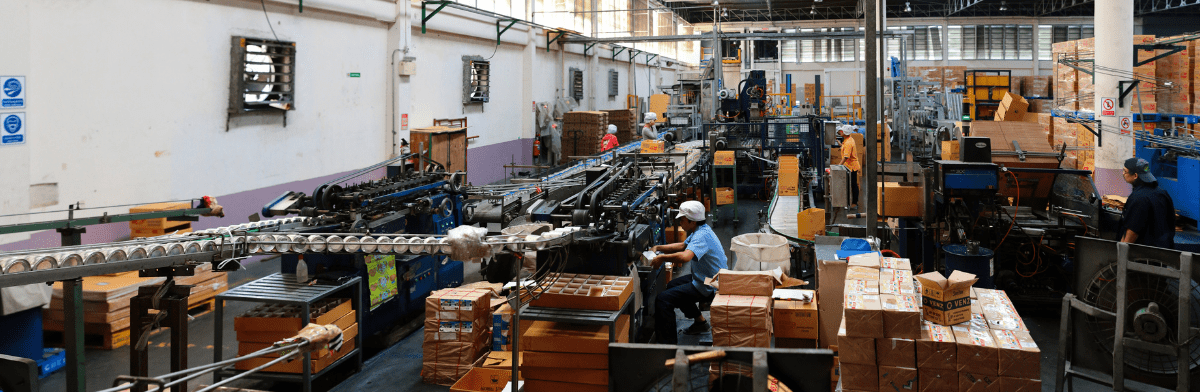 Interior de fábrica con línea de producción, cajas de cartón, maquinaria industrial y trabajadores