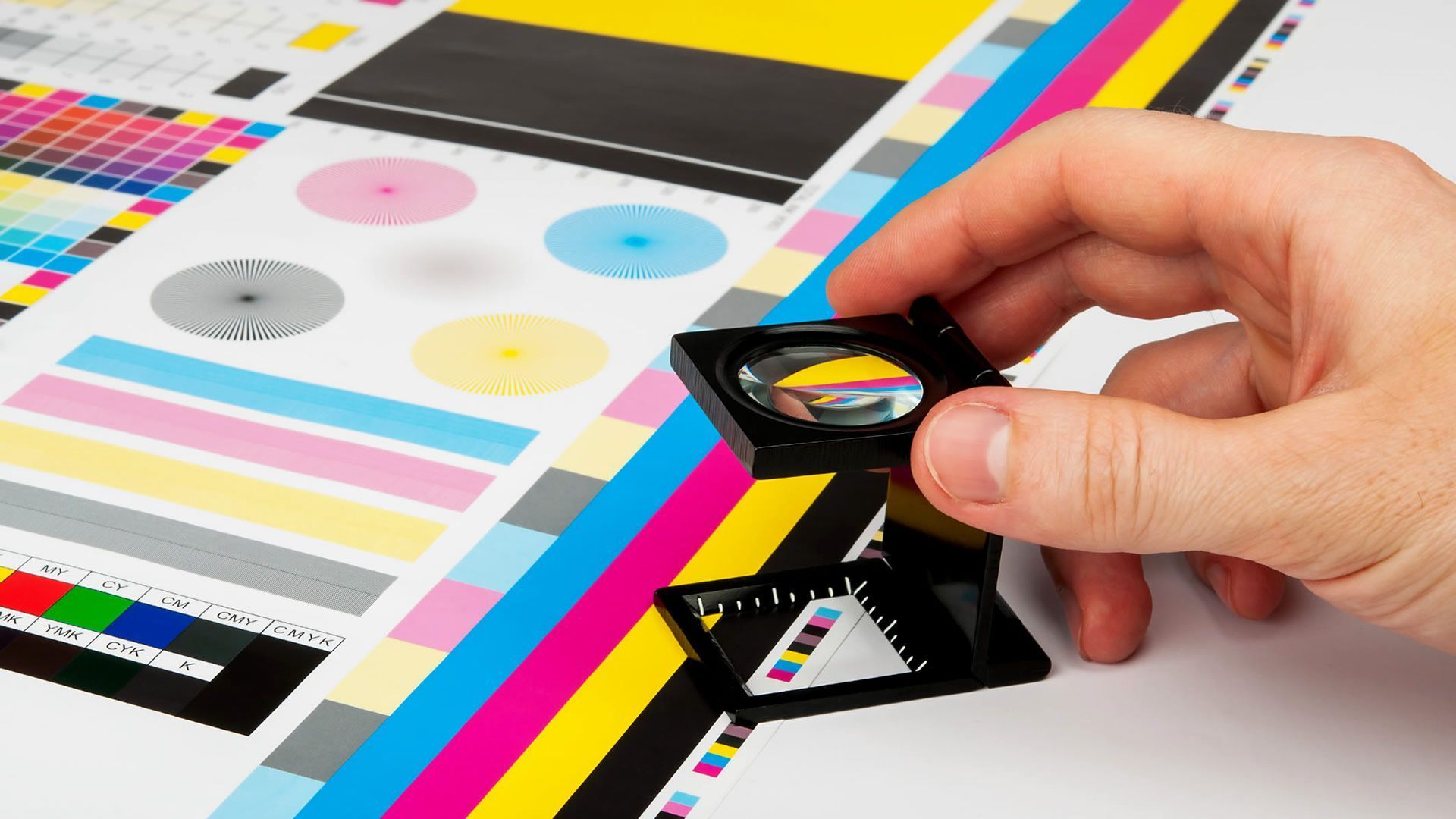 Cursos programados | Gestión de color